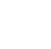feature-icon