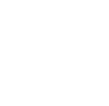 feature-icon